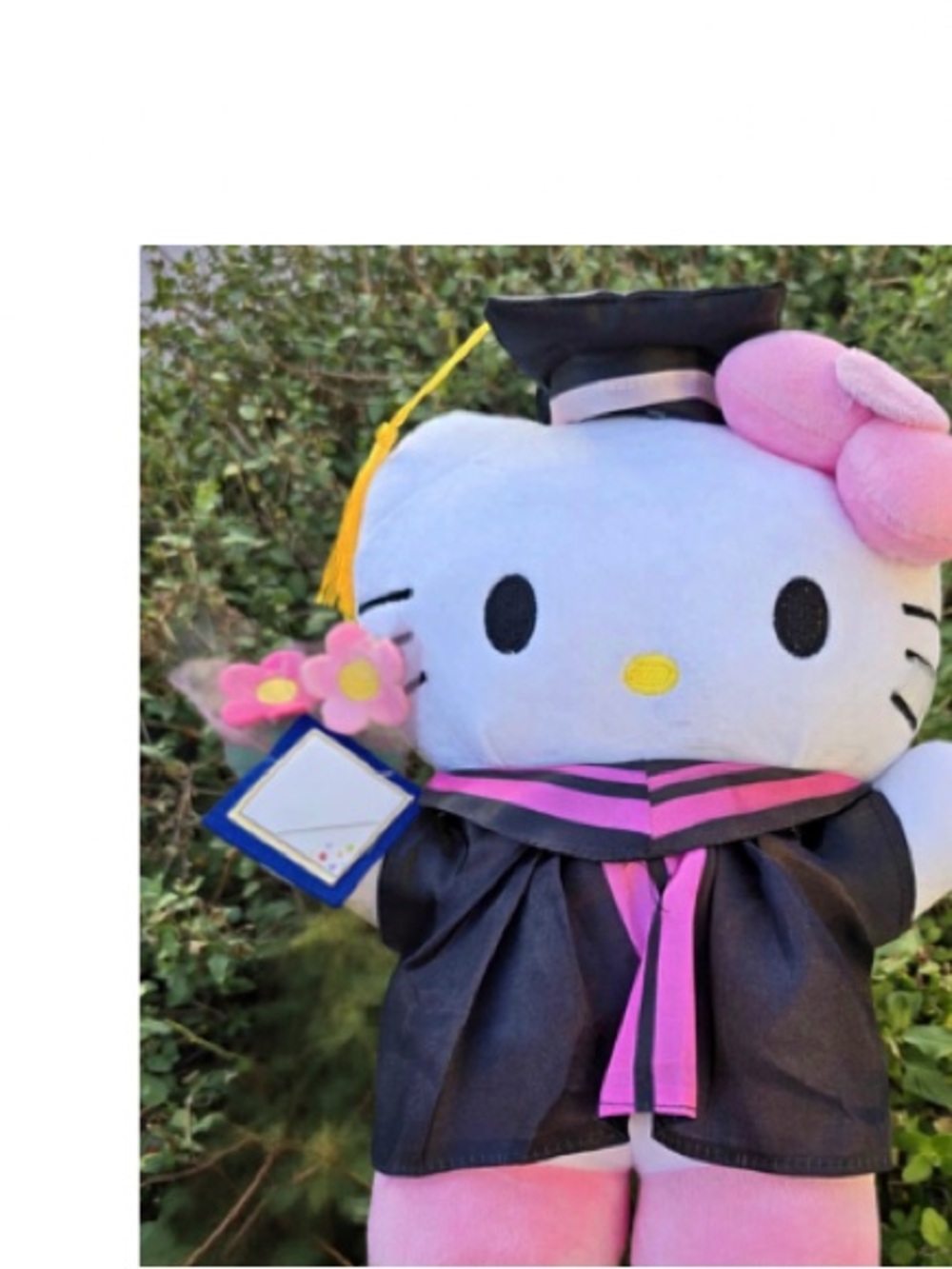 Sanrio Hello Kitty Pink Graduation Plush Toy - Cute Keepsake